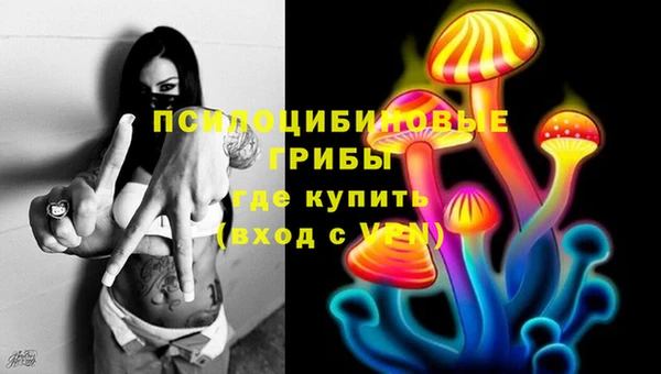 прущий лед Осинники