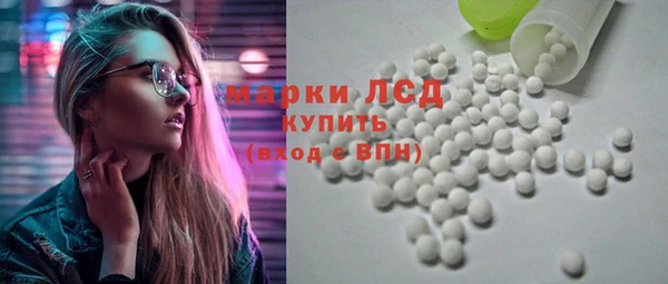 прущие грибы Вязники