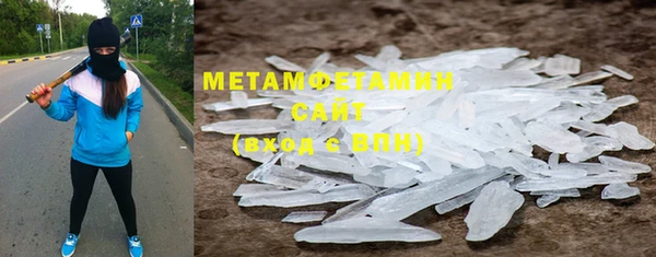 прущие грибы Вязники